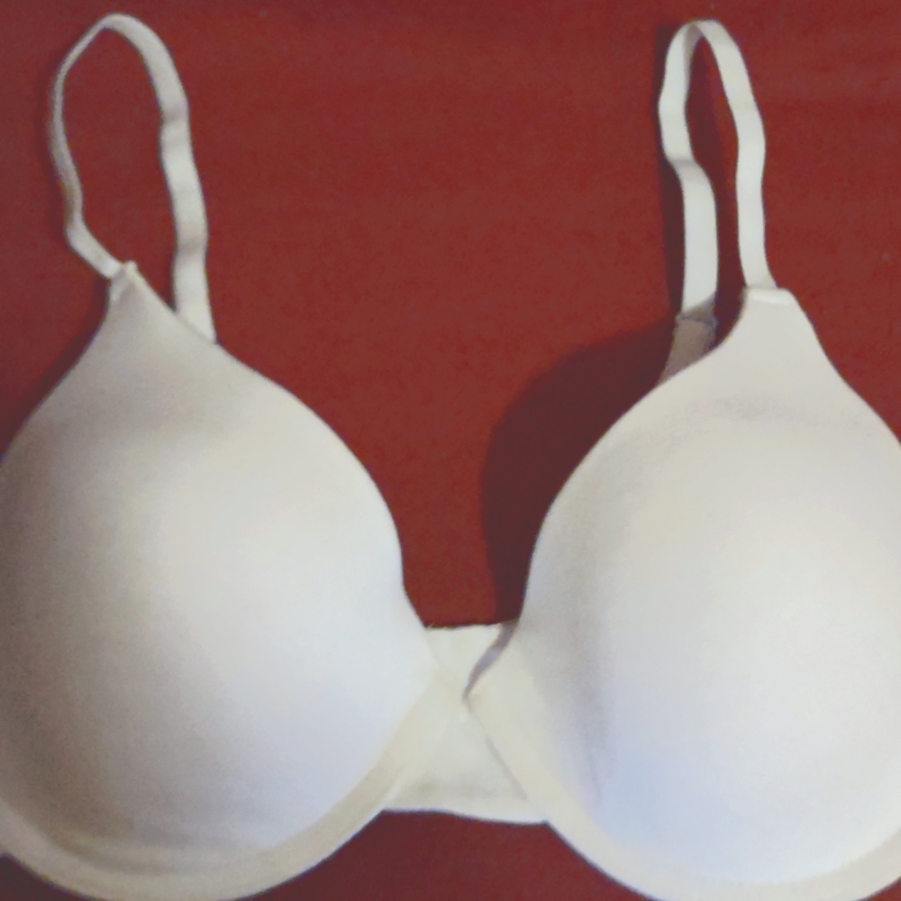 NWOT White Bra.